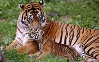 /album/fotogalerij/img-4325-jpg1/