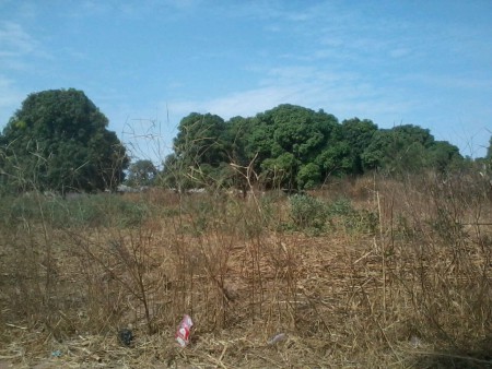 Kotu/Gambia